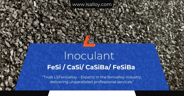 ���ҹ���(�й���)���޹�˾����