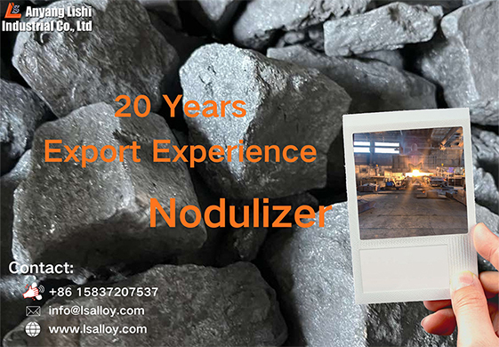 ���ҹ���(�й���)���޹�˾����